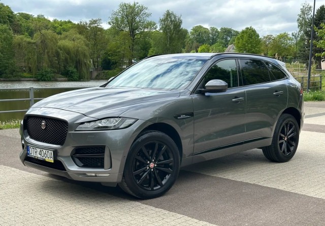 jaguar